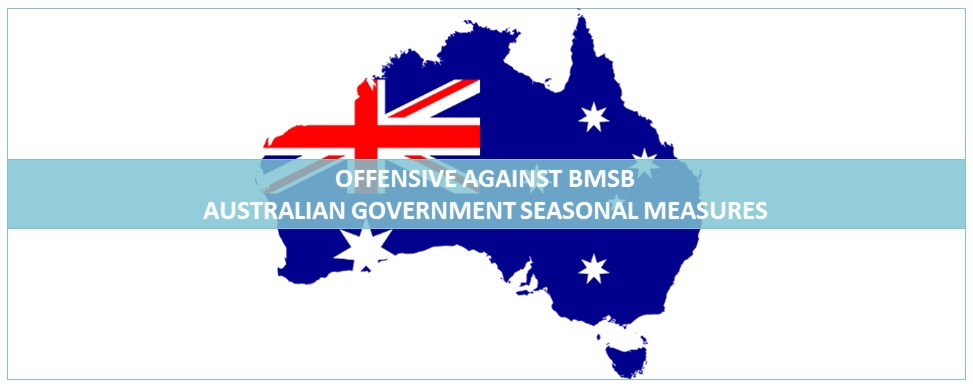 Australian government issues seasonal measures
for bmsb
